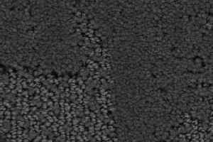 Ковролин Balsan Monaco 960 фото  | FLOORDEALER