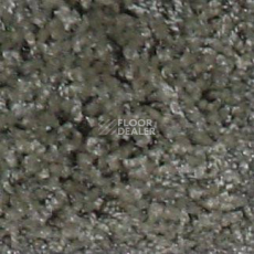 Ковролин Bell Rock Beaulieu of America 1442 фото 1 | FLOORDEALER