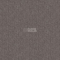 Ковровая плитка Tarkett Sky Original Sky 13482 фото 1 | FLOORDEALER