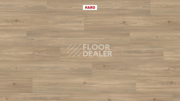 Ламинат Haro Tritty 90 Пиния Флоренция 544687 фото 2 | FLOORDEALER