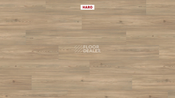 Ламинат Haro Tritty 90 Пиния Флоренция 544687 фото 2 | FLOORDEALER