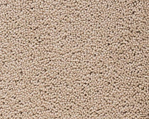 Ковролин Best Wool Pure Brunel d 10006 фото 1 | FLOORDEALER