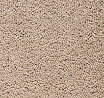 Ковролин Best Wool Pure Brunel d 10006 фото 1 | FLOORDEALER