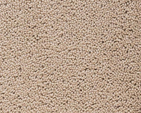 Ковролин Best Wool Pure Brunel d 10006 фото 1 | FLOORDEALER