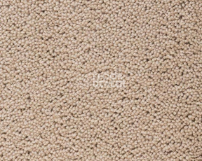 Ковролин Best Wool Pure Brunel d 10006 фото 1 | FLOORDEALER