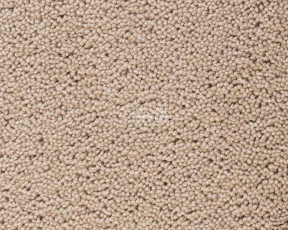 Ковролин Best Wool Pure Brunel d 10006 фото 1 | FLOORDEALER
