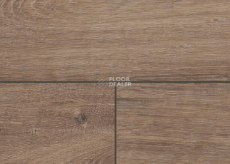 Terhurne Trend Line 243мм 1915 Дуб Виски Лаундж 1101020900 фото 2 | FLOORDEALER