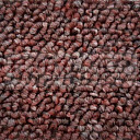 Ковролин Timzo Fortuna 3956  | FLOORDEALER