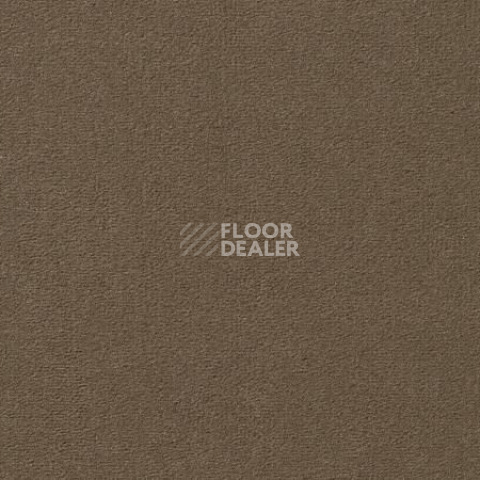 Ковролин Vorwerk Passion 1000/Modena Vorwerk 7f82 фото 1 | FLOORDEALER
