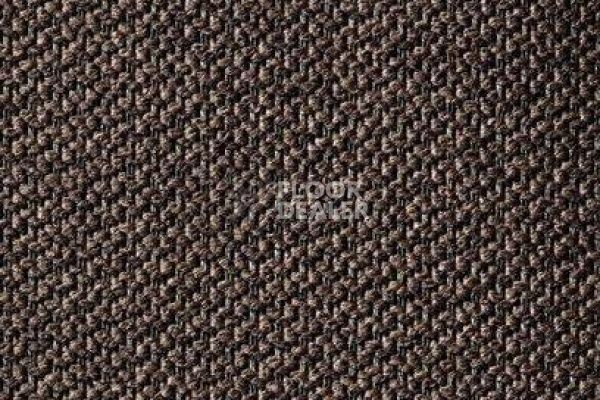 Ковролин Carpet Concept Eco Tec 280009_6765 фото 1 | FLOORDEALER
