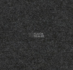Ковролин Flotex wonderlab 07 900269 Carbon фото 1 | FLOORDEALER