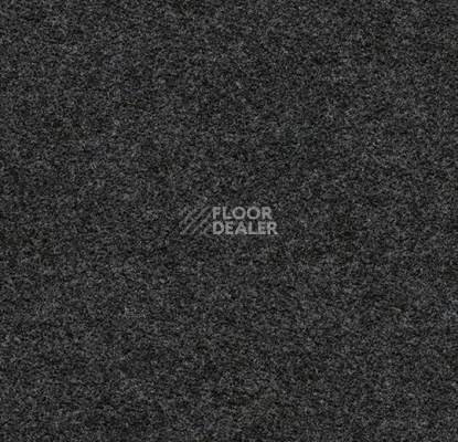 Ковролин Flotex wonderlab 07 900269 Carbon фото 1 | FLOORDEALER