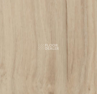 Кварцвиниловые полы Forbo Allura Click Decibel 60305 фото 1 | FLOORDEALER