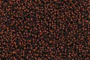 Ковролин Desso Cassini 2076 фото  | FLOORDEALER