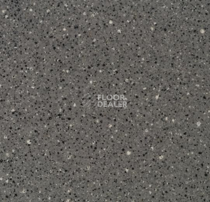 Линолеум Forbo Smaragd Classic Fr 6196 фото 1 | FLOORDEALER