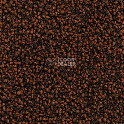 Ковролин Desso Cassini 2076 фото 1 | FLOORDEALER