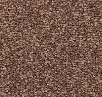 Ковролин Balsan First Class 665 фото 1 | FLOORDEALER