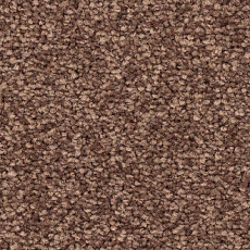 Ковролин Balsan First Class 665 фото 1 | FLOORDEALER