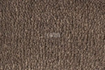 Ковролин Edel Vanity 173 фото 1 | FLOORDEALER