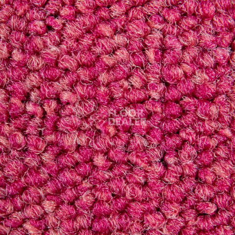 Balsan Season - Summer / Winter 550 фото 2 | FLOORDEALER