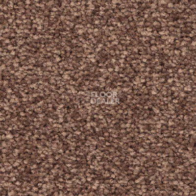 Ковролин Balsan First Class 665 фото 1 | FLOORDEALER