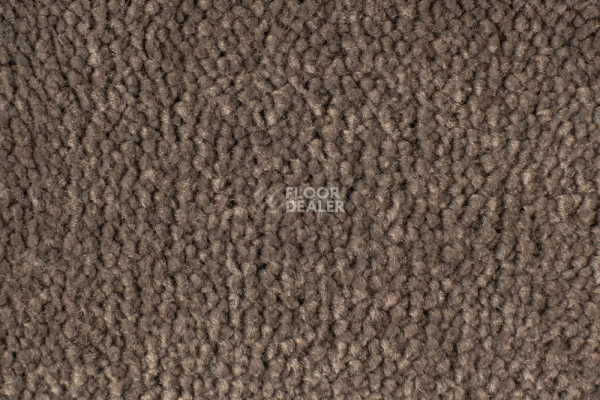 Ковролин Edel Vanity 173 фото 1 | FLOORDEALER