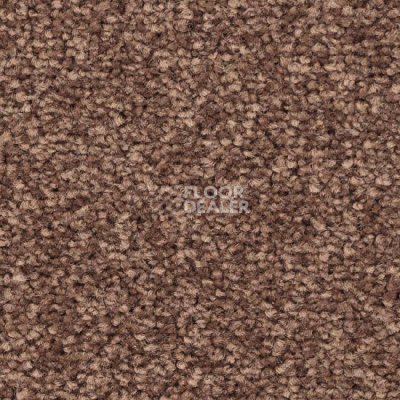 Ковролин Balsan First Class 665 фото 1 | FLOORDEALER
