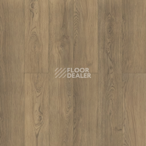 Ламинат Norland Elegant 8мм Дуб Монте LF301-34 фото 1 | FLOORDEALER