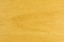 Линолеум Forbo SportLine Standart Fr 7601 фото 1 | FLOORDEALER