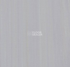 Линолеум Forbo Marmoleum Неожиданная природа 3569 фото 1 | FLOORDEALER