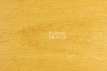 Forbo SportLine Standart Fr 7601 фото 1 | FLOORDEALER