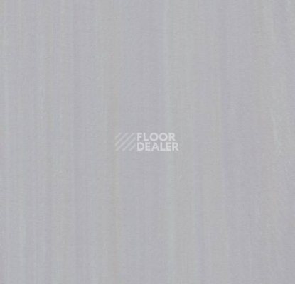 Линолеум Forbo Marmoleum Неожиданная природа 3569 фото 1 | FLOORDEALER