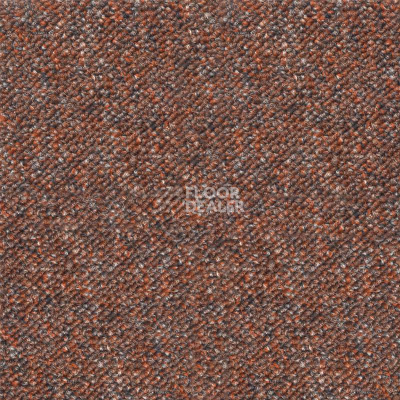 Ковролин Betap Plato 351 фото 1 | FLOORDEALER