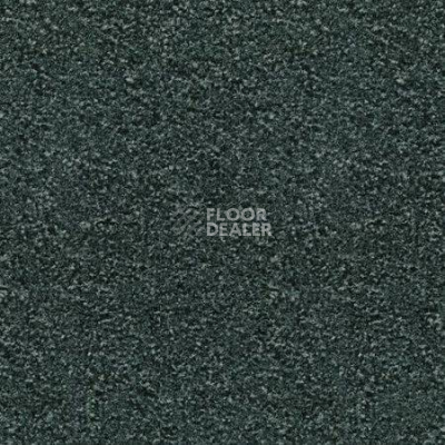 Ковролин Desso Mila-Brlm 9980 фото 1 | FLOORDEALER