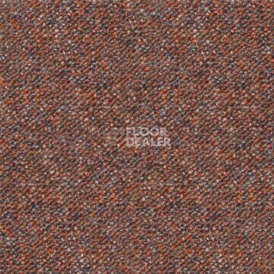 Ковролин Betap Plato 351 фото 1 | FLOORDEALER