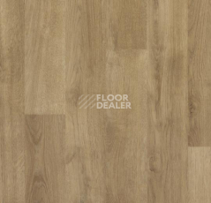 Линолеум Forbo SureStep Wood Decibel 71892 фото 1 | FLOORDEALER