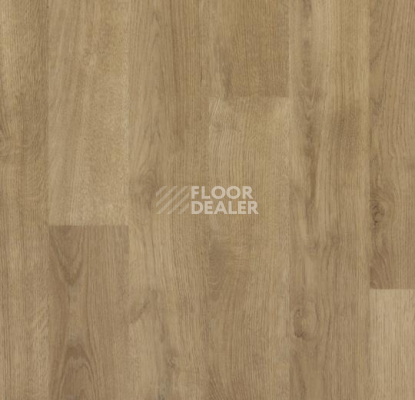 Линолеум Forbo SureStep Wood Decibel 71892 фото 1 | FLOORDEALER