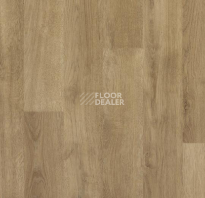 Линолеум Forbo SureStep Wood Decibel 71892 фото 1 | FLOORDEALER