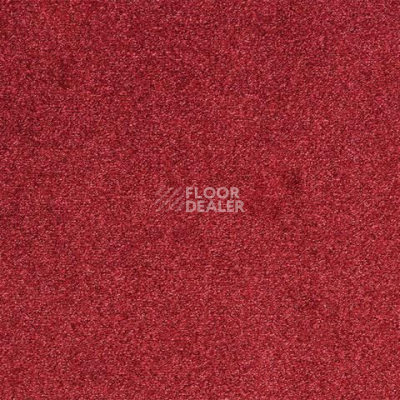 Ковролин ITC Evolve Evolve 15 фото 1 | FLOORDEALER