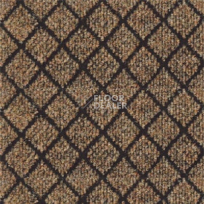 Ковролин Sintelon Lider 1411 фото 1 | FLOORDEALER