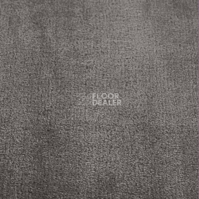 Ковролин Jacaranda Carpets Simla Storm фото 1 | FLOORDEALER