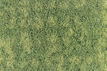 Flotex metro planks p 946019 Metro Citrus фото 4 | FLOORDEALER