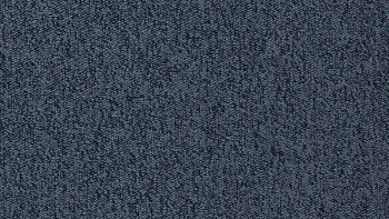 Ковролин Vorwerk Passion 1005 Vorwerk 3n65 фото 1 | FLOORDEALER