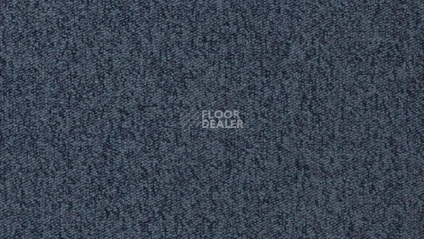 Ковролин Vorwerk Passion 1005 Vorwerk 3n65 фото 1 | FLOORDEALER