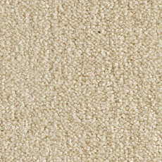 Ковролин Balsan Scenario 609 фото 1 | FLOORDEALER