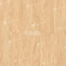 Кварцвиниловые полы Alpine Floor Classic Light 3.5мм Бук ЕСО141-88 фото 1 | FLOORDEALER