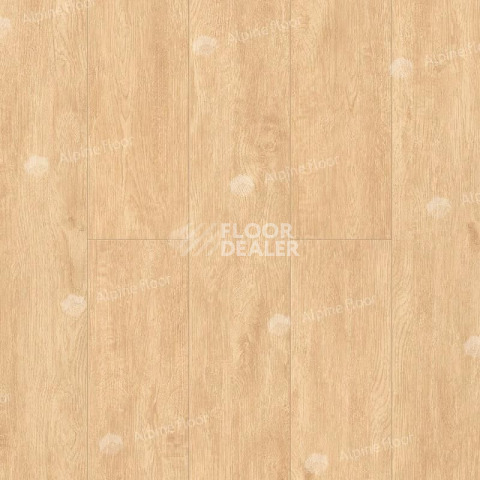 Кварцвиниловые полы Alpine Floor Classic Light 3.5мм Бук ЕСО141-88 фото 1 | FLOORDEALER