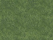 Ковролин Halbmond Pure Elements 13834 фото 1 | FLOORDEALER