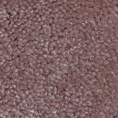 Serene Beaulieu of America 22 фото 1 | FLOORDEALER