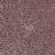 Ковролин Serene Beaulieu of America 22 фото 1 | FLOORDEALER